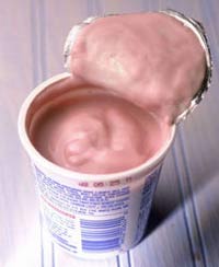French yogurt maker Danone sells stake in China's Bright Dairy