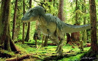 Modern birds are direct descendants of Tyrannosaurus rex