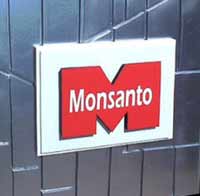 Monsanto makes new profit forecast for 2008