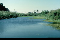 Lake Okeechobee's bottom reveals curious finds