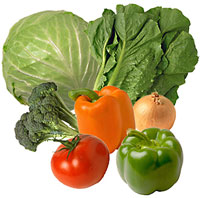 Vegetative Cures for Cancer