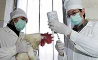 Dead birds being tested for H5N1 in two districts near Moscow