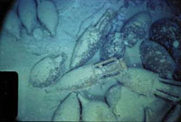 Team of Archaeologists Find Ancient Roman Ships Near Island