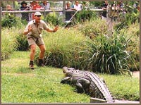 Steve Irwin’s death compared to that of Princess Diana