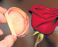 Siberian man writes two books on rose petals