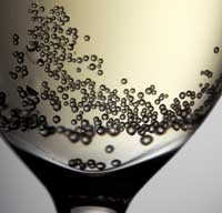 Champagne Bubbles Key to Taste, New Study