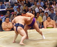 Sumo wrestler dies after practice