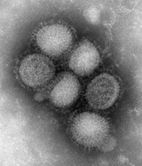 Washington in for H1N1 Health Crisis