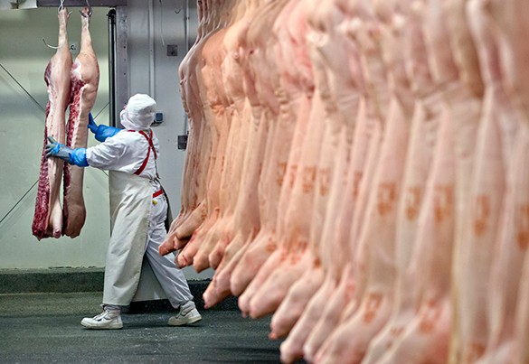 Is there any meat in natural meat? That is the question. Factory farming