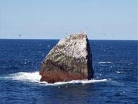 Four countries struggle for tiny 'golden rock' in North Atlantic. 45931.jpeg