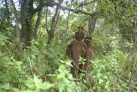 Woman-Maugli found in Cambodian jungle