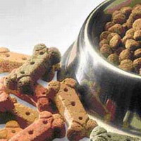 Homemade food for pets