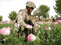 Is Afghanistan Worth it?