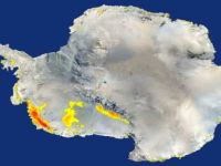 Rate of warming in Antarctica is twice as imagined, says study. 48954.jpeg