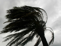 Scientists differentiate wind storms