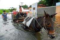 Heavy Rains Kill at Least 95 in Brazil