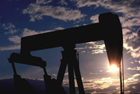 Oil prices grow dramatically