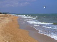Six Children Drown in Sea of Azov While Camp Counselors Drink Alcohol