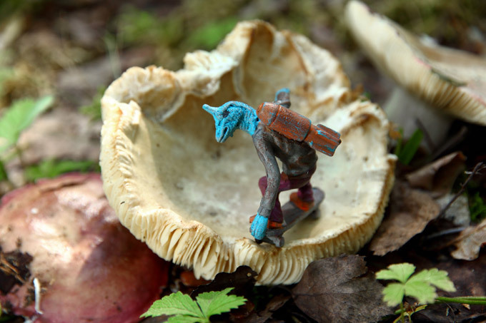 Little dinosaurs by Deivis Slavinskas