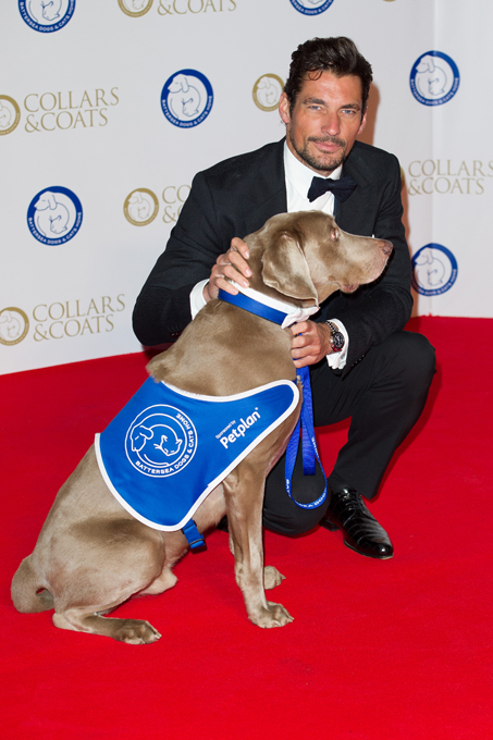 World's most stylish men