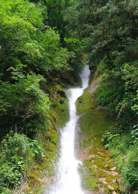 The beauty of Abkhazia