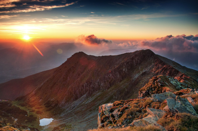 The autumn colour palette