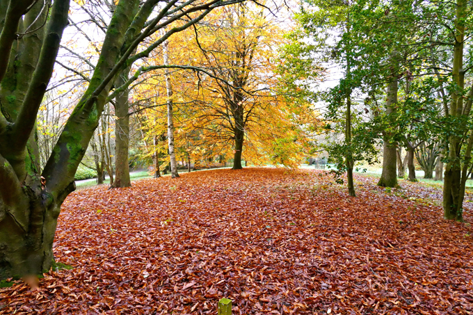 The autumn colour palette