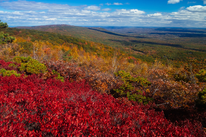 The autumn colour palette