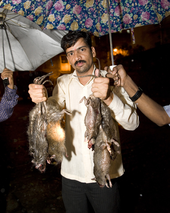 Professions that no longer exist