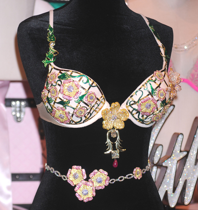 Victoria's Secret bra worth $2.5 million