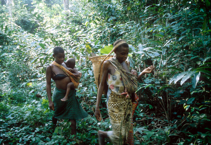 Пигмеи. Люди величиной с кулак