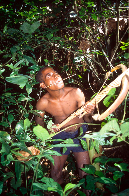 Пигмеи. Люди величиной с кулак