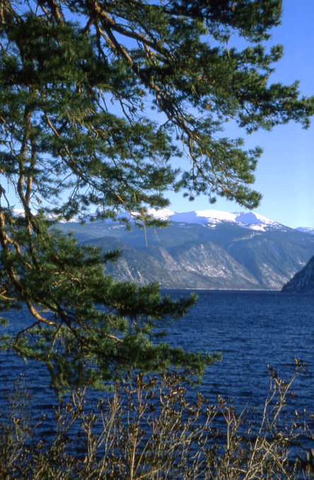 Pristine beauty of Russia's Altai