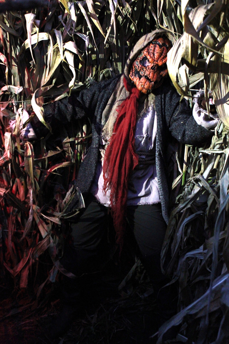 Getting trick-or-treating with it