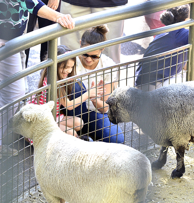 What happened to Tom Cruise?