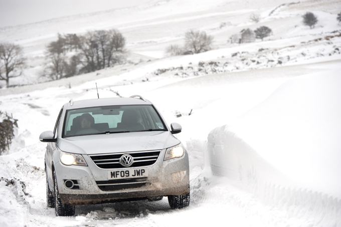 Moscow's most popular cars