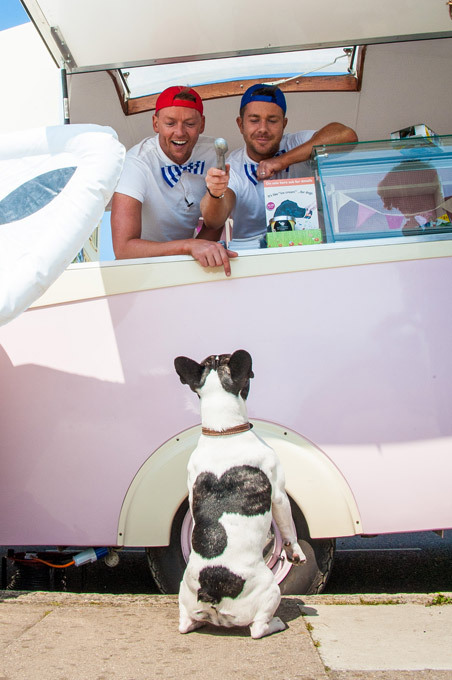 Ice cream for dogs, anyone?