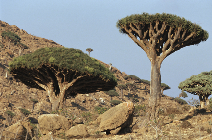 Most unusual and picturesque islands in the world