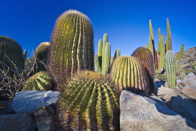 Most unusual and picturesque islands in the world