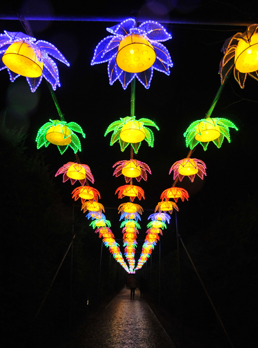 Magical Lantern Festival in London