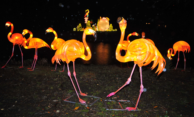 Magical Lantern Festival in London