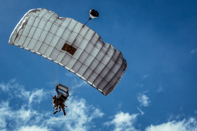 Siara, a skydiving dog