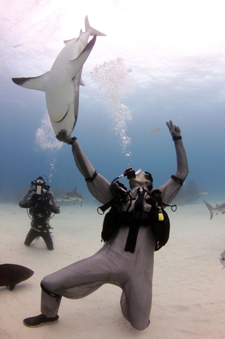 Biologist puts 50 sharks in a trance