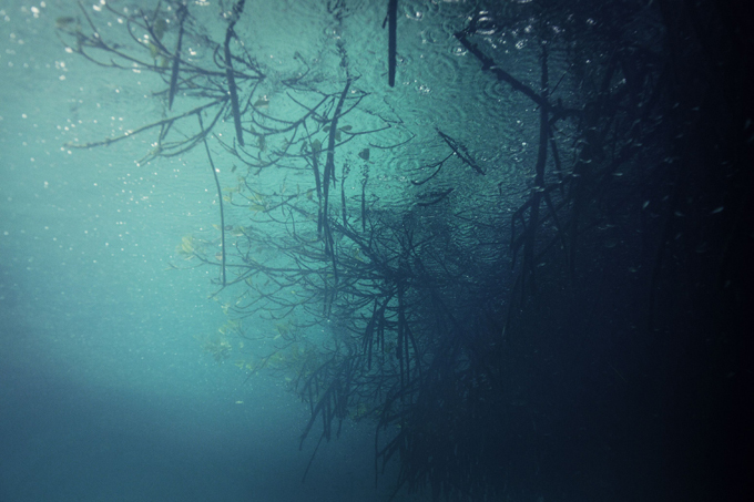 Cenote Angelita: Underwater river