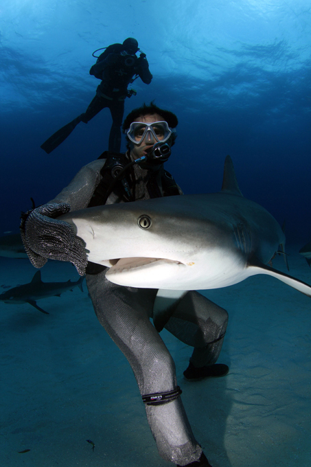 Biologist puts 50 sharks in a trance