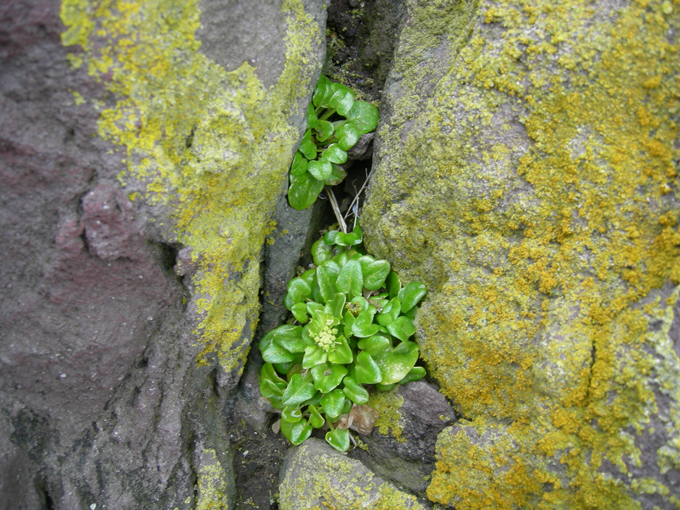 Iturup: Island of solidified lava