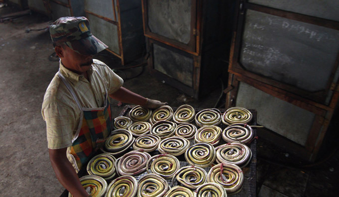 Snake slaughterhouse in Indonesia