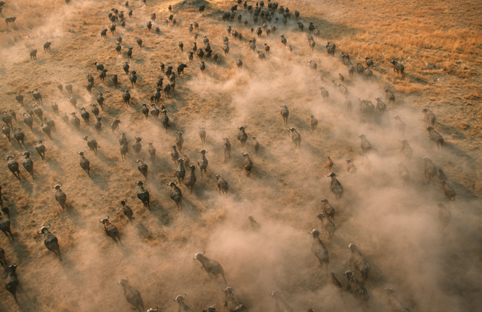 Africa as seen through bird's eye