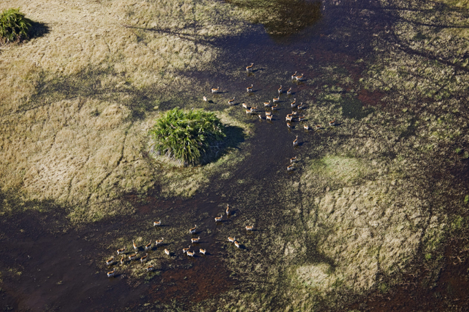 Africa as seen through bird's eye