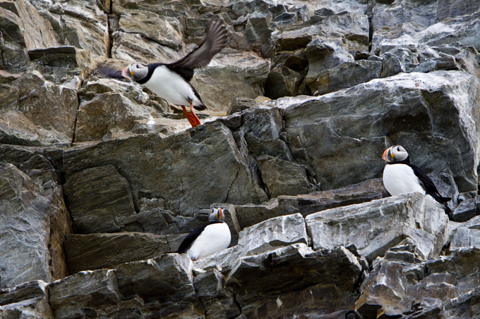 Svalbard: Arctic beauty untouched
